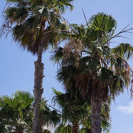 Salty Casa - Oasis Duna - Center Διαμέρισμα Κοραλέχο