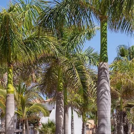 Διαμέρισμα Salty Casa - Oasis Duna - Center Κοραλέχο